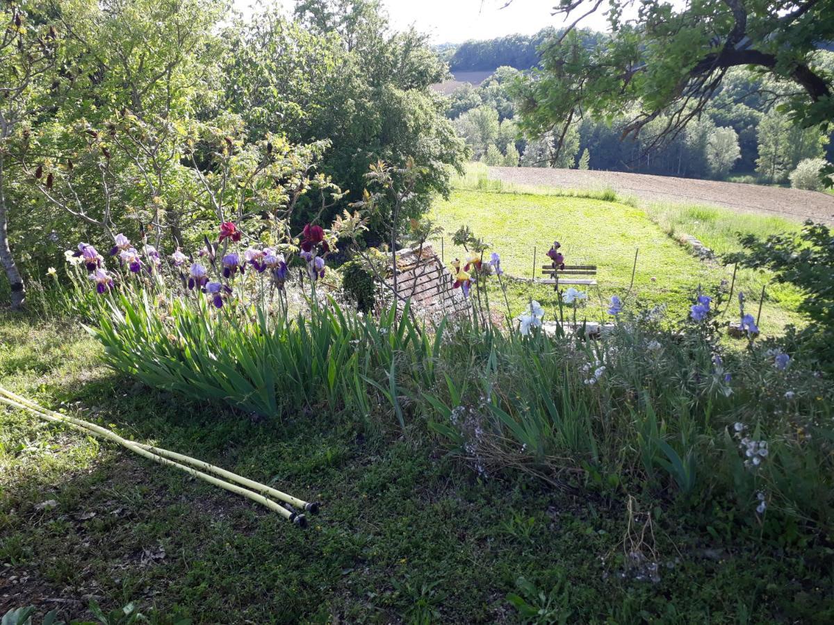 Ferme En Pleine Campagne * Castelsagrat