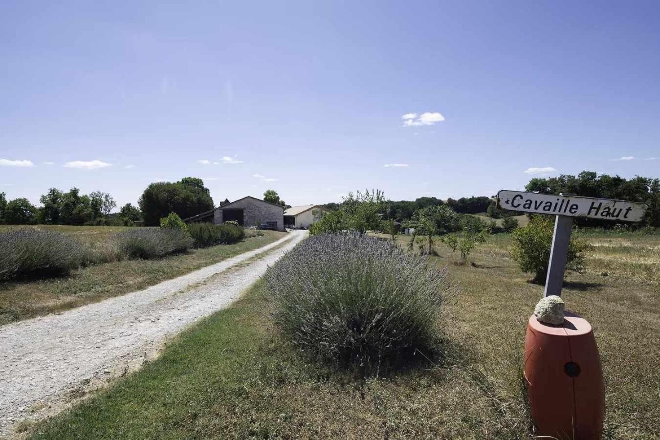 Ferme En Pleine Campagne Castelsagrat