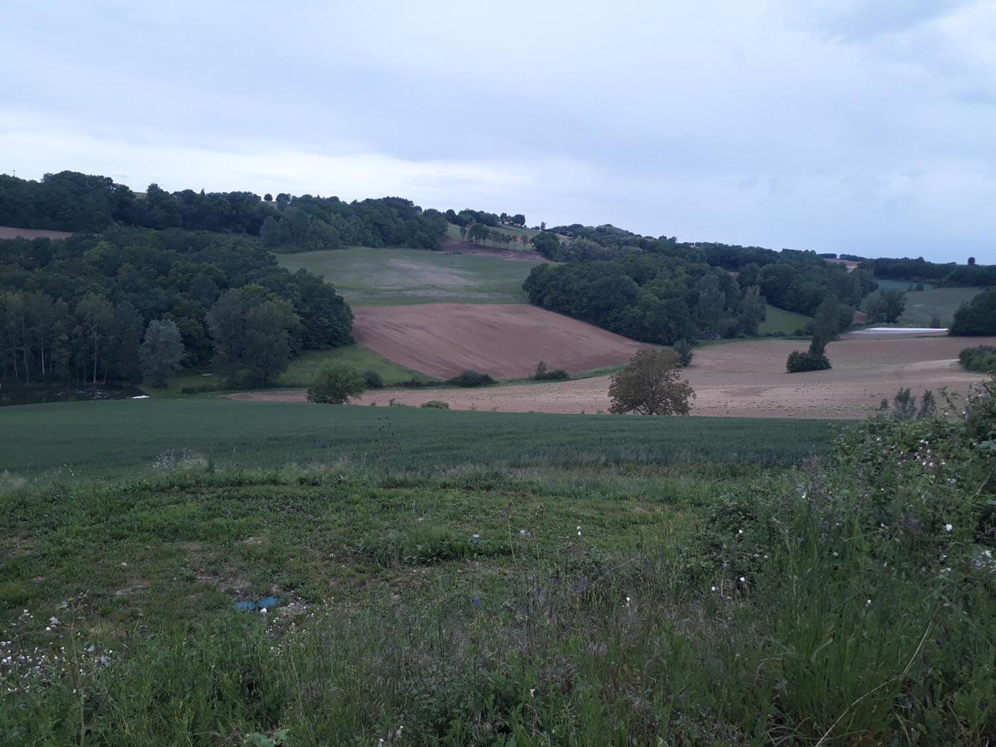 Ferme En Pleine Campagne