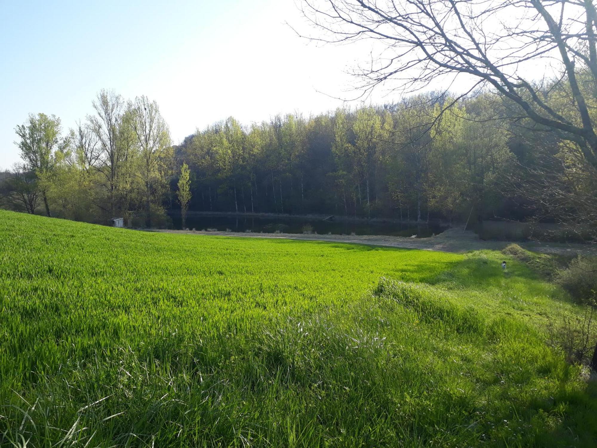 Ferme En Pleine Campagne Ferienhaus Castelsagrat