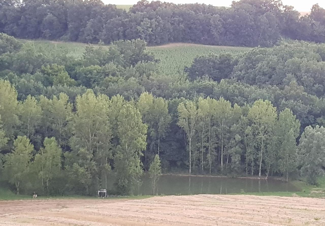 Ferme En Pleine Campagne *